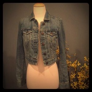 Denim Fitted Jacket. Cropped. American Eagle